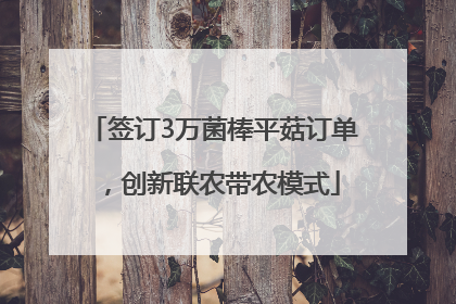签订3万菌棒平菇订单,创新联农带农模式