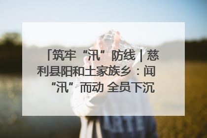 筑牢“汛”防线｜慈利县阳和土家族乡：闻“汛”而动 全员下沉筑牢防汛“安全堤”