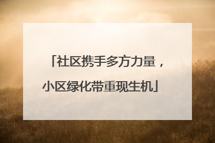 社区携手多方力量，小区绿化带重现生机