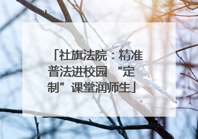 社旗法院：精准普法进校园 “定制”课堂润师生