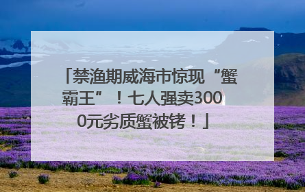 禁渔期威海市惊现“蟹霸王”！七人强卖3000元劣质蟹被铐！