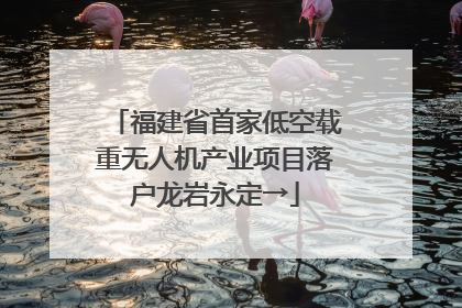 福建省首家低空载重无人机产业项目落户龙岩永定→