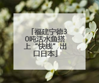 福建宁德30吨活水鱼搭上“快线”出口日本