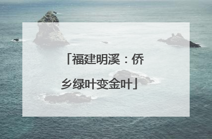福建明溪：侨乡绿叶变金叶