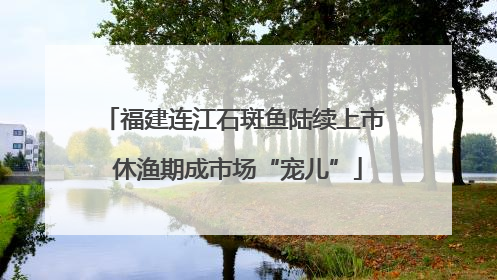 福建连江石斑鱼陆续上市 休渔期成市场“宠儿”
