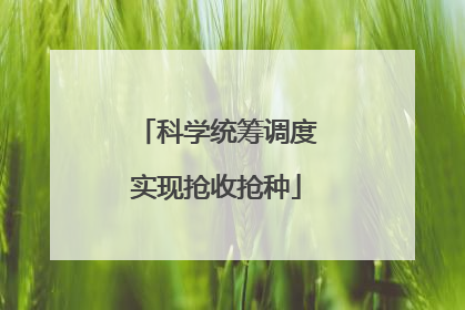 科学统筹调度实现抢收抢种