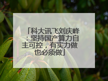 科大讯飞刘庆峰：坚持国产算力自主可控，有实力做也必须做