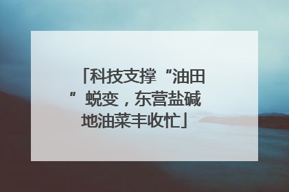 科技支撑“油田”蜕变，东营盐碱地油菜丰收忙