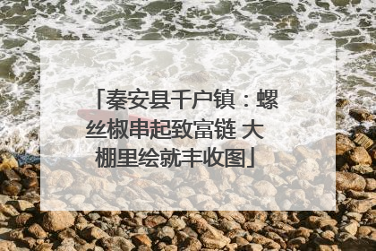 秦安县千户镇：螺丝椒串起致富链 大棚里绘就丰收图