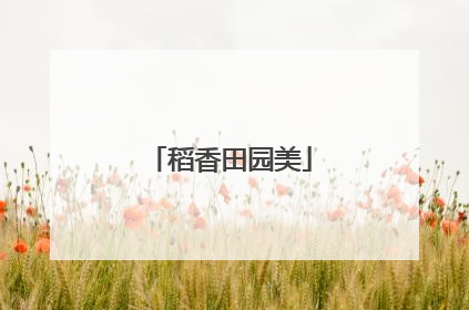 稻香田园美