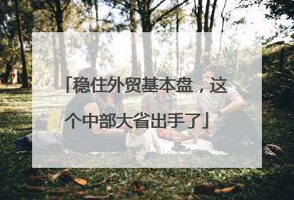 稳住外贸基本盘，这个中部大省出手了