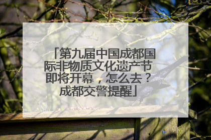 第九届中国成都国际非物质文化遗产节即将开幕，怎么去？成都交警提醒