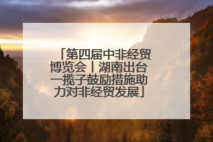 第四届中非经贸博览会丨湖南出台一揽子鼓励措施助力对非经贸发展