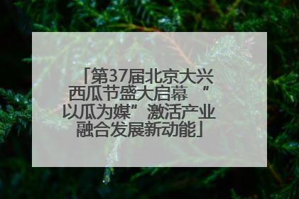 第37届北京大兴西瓜节盛大启幕 “以瓜为媒”激活产业融合发展新动能