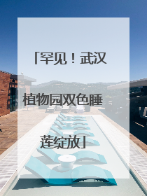 罕见！武汉植物园双色睡莲绽放