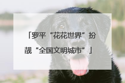 罗平“花花世界”扮靓“全国文明城市”