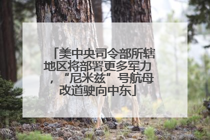 美中央司令部所辖地区将部署更多军力，“尼米兹”号航母改道驶向中东