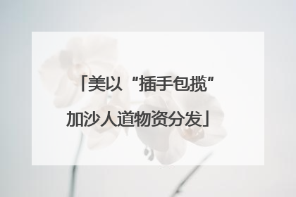 美以“插手包揽”加沙人道物资分发