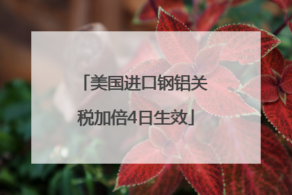美国进口钢铝关税加倍4日生效