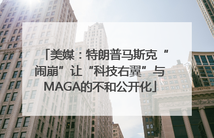 美媒：特朗普马斯克“闹崩”让“科技右翼”与MAGA的不和公开化