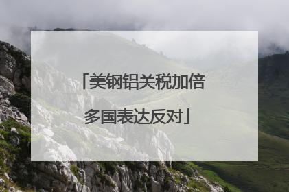 美钢铝关税加倍 多国表达反对
