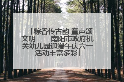 粽香传古韵 童声颂文明——南阳市政府机关幼儿园迎端午庆六一活动丰富多彩
