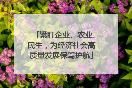 紧盯企业、农业、民生，为经济社会高质量发展保驾护航