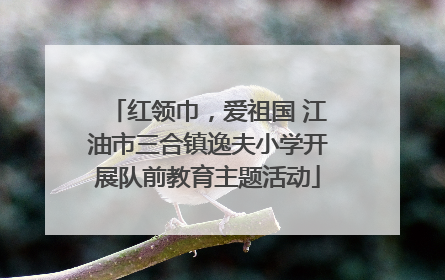 红领巾，爱祖国 江油市三合镇逸夫小学开展队前教育主题活动