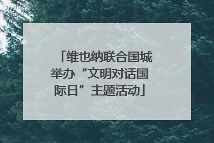 维也纳联合国城举办“文明对话国际日”主题活动