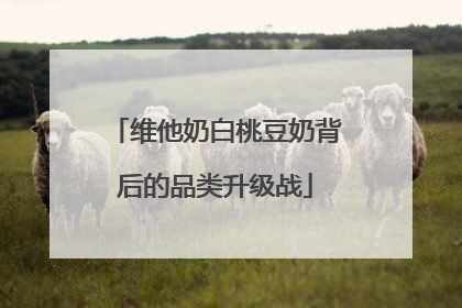 维他奶白桃豆奶背后的品类升级战