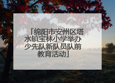 绵阳市安州区塔水镇宝林小学举办少先队新队员队前教育活动