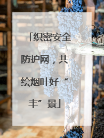 织密安全防护网，共绘烟叶好“丰”景