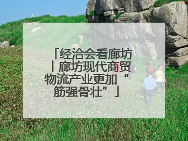 经洽会看廊坊丨廊坊现代商贸物流产业更加“筋强骨壮”