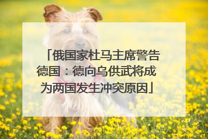 俄国家杜马主席警告德国：德向乌供武将成为两国发生冲突原因