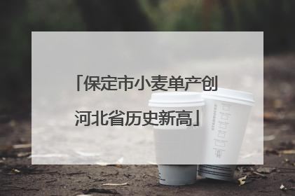 保定市小麦单产创河北省历史新高