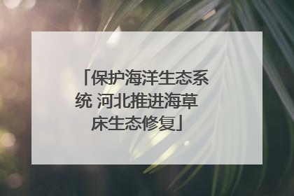保护海洋生态系统 河北推进海草床生态修复