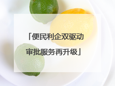 便民利企双驱动 审批服务再升级