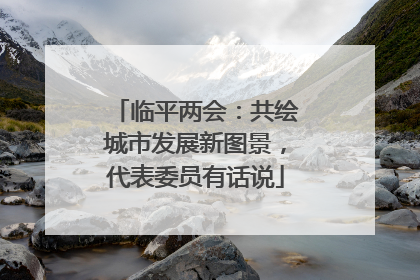 临平两会：共绘城市发展新图景，代表委员有话说
