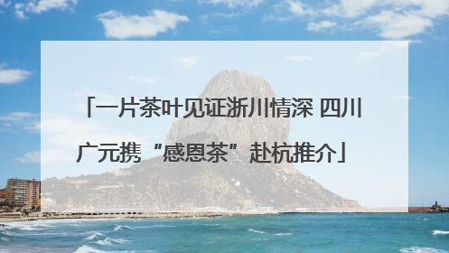 一片茶叶见证浙川情深 四川广元携“感恩茶”赴杭推介