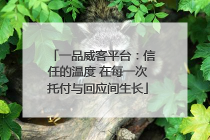 一品威客平台：信任的温度 在每一次托付与回应间生长