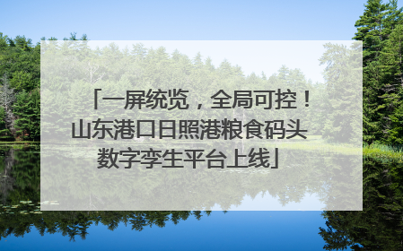 一屏统览，全局可控！山东港口日照港粮食码头数字孪生平台上线