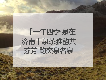 一年四季·泉在济南｜泉茶雅韵共芬芳 趵突泉名泉茗茶品鉴会举行