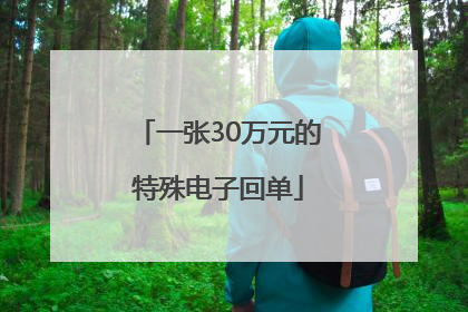 一张30万元的特殊电子回单