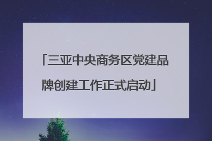 三亚中央商务区党建品牌创建工作正式启动