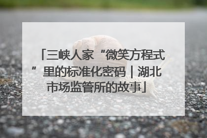 三峡人家“微笑方程式”里的标准化密码｜湖北市场监管所的故事