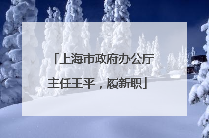 上海市政府办公厅主任王平，履新职