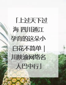 上过天下过海 四川通江孕育的这朵小白花不简单｜川陕渝网络名人巴中行