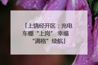 上饶经开区：充电车棚“上岗” 幸福“满格”续航