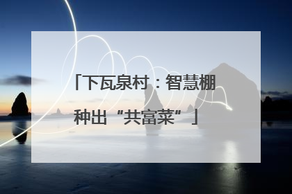 下瓦泉村：智慧棚种出“共富菜”