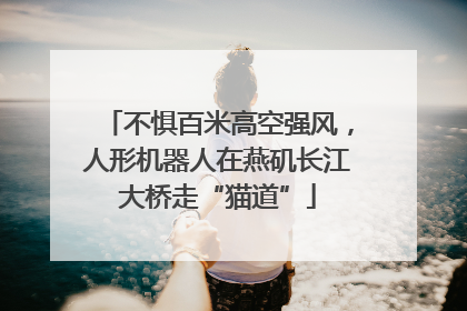 不惧百米高空强风，人形机器人在燕矶长江大桥走“猫道”